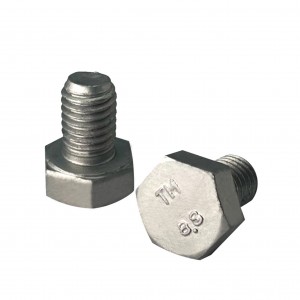 Болт М10х25х1,25 1/59707/21