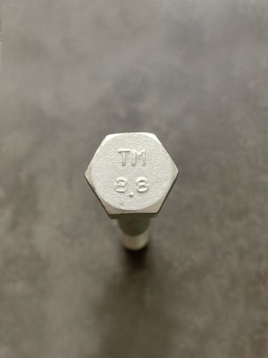 Болт М10х70х1,25 1/58888/21