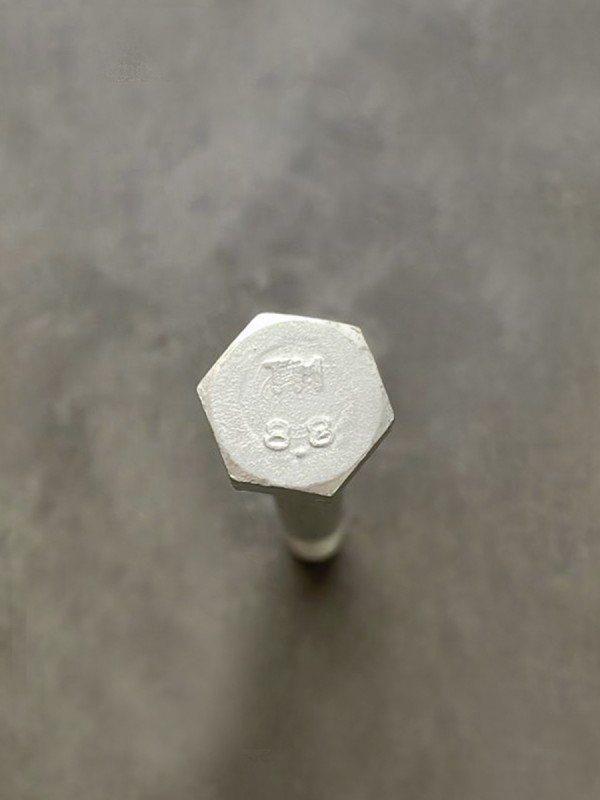 Болт М10х100х1,25 1/59718/21