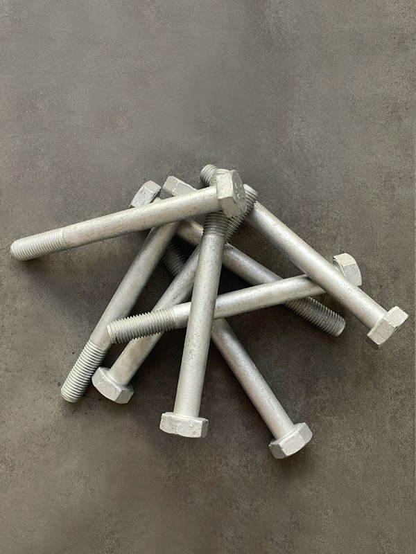 Болт М10х100х1,25 1/59718/21