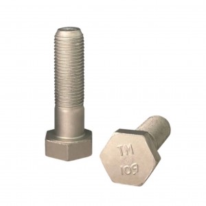 Болт М20х50х1,5 1/13836/31