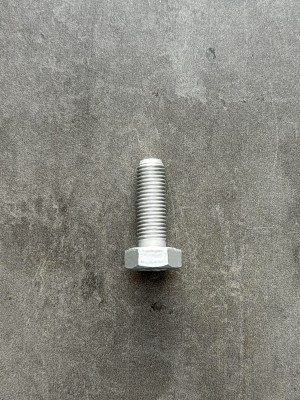 Болт М10х30х1,25 1/13069/31